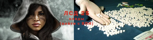 индика Абаза