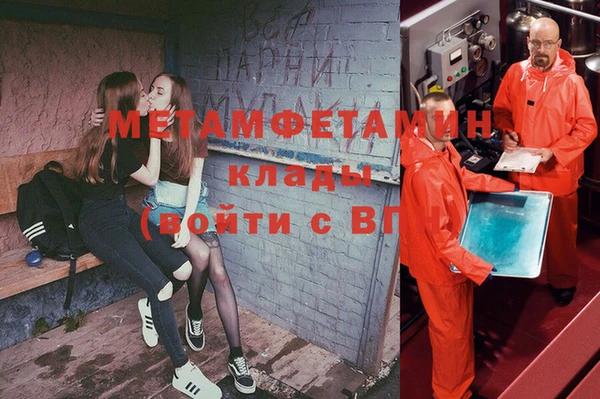 индика Абаза