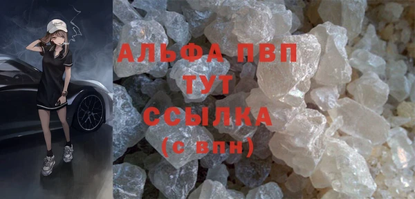 индика Абаза
