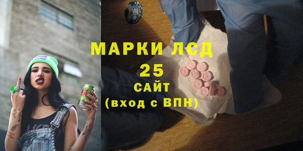 индика Абаза