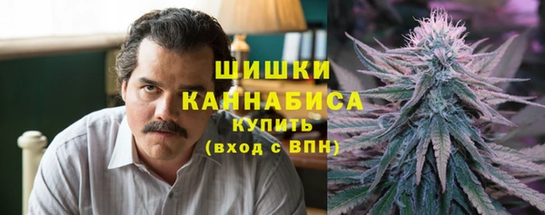 индика Абаза