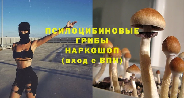индика Абаза