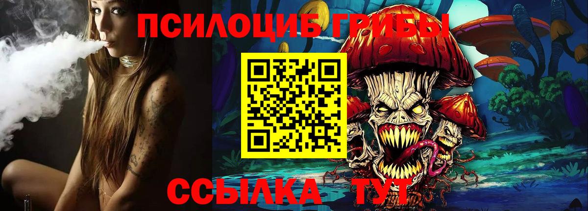 закладка  Вход с VPN  Сургут  Галлюциногенные грибы GOLDEN TEACHER 